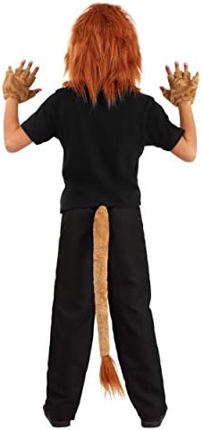 Fun Costumes Kids Lion Costume Set