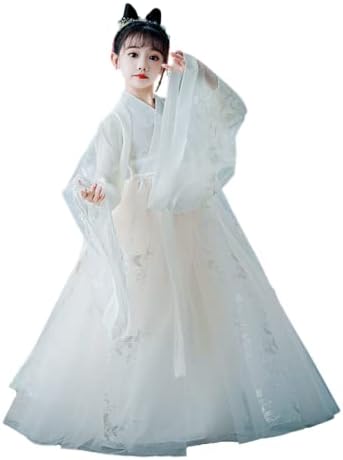 AINIFUGirls Fairy Hanfu Dresses Traditional Tang Suits Guzheng Dresses Ancient Performance Costume