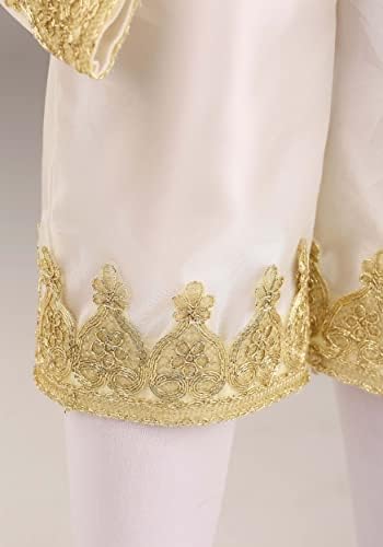ClassicLouis XVI Kids Costume Medium