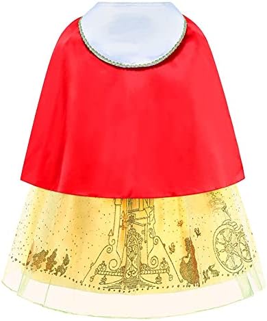 CinheyU Princess Birthday Dress with Accessories