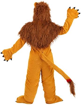 Classic Storybook Lion Costume for Kids