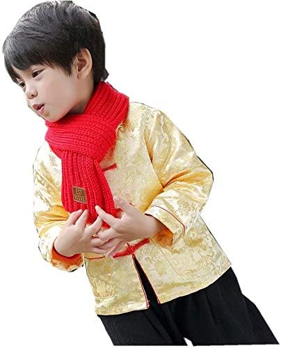 Little Boys Dragon Tang Coat Long Sleeve Costume Jacket
