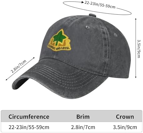 Classic DUI Baseball Cap