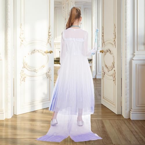Classy Princess Dress with Accessories
