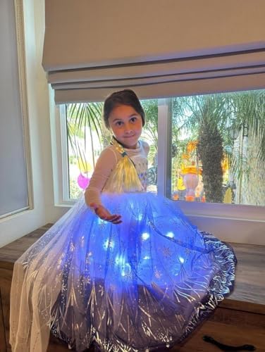 Princess Costume for Girls Light-Up Purple Dress Up