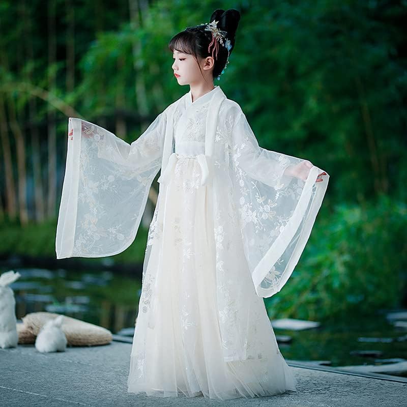 AINIFUGirls Fairy Hanfu Dresses Traditional Tang Suits Guzheng Dresses Ancient Performance Costume
