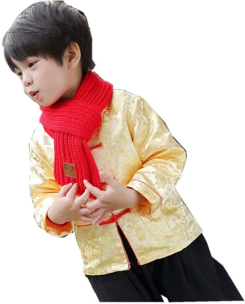 Little Boys Dragon Tang Coat Long Sleeve Costume Jacket